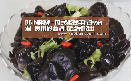 BBIN下载