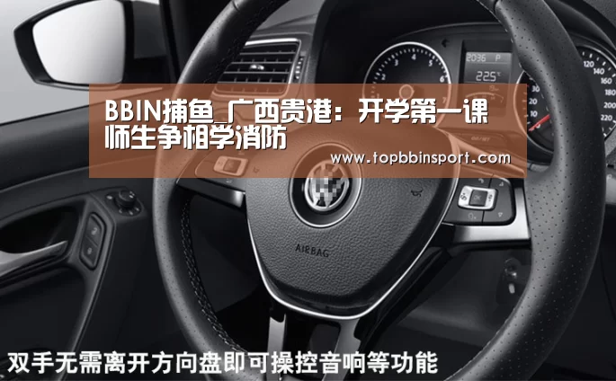 BBIN下载