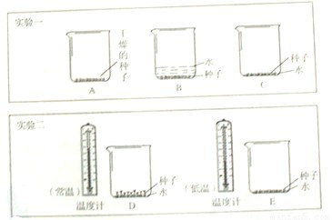 BBIN下载