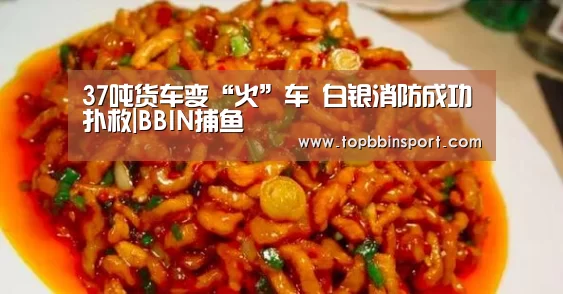 37吨货车变“火”车 白银消防成功扑救|BBIN捕鱼(图2) BBIN棋牌