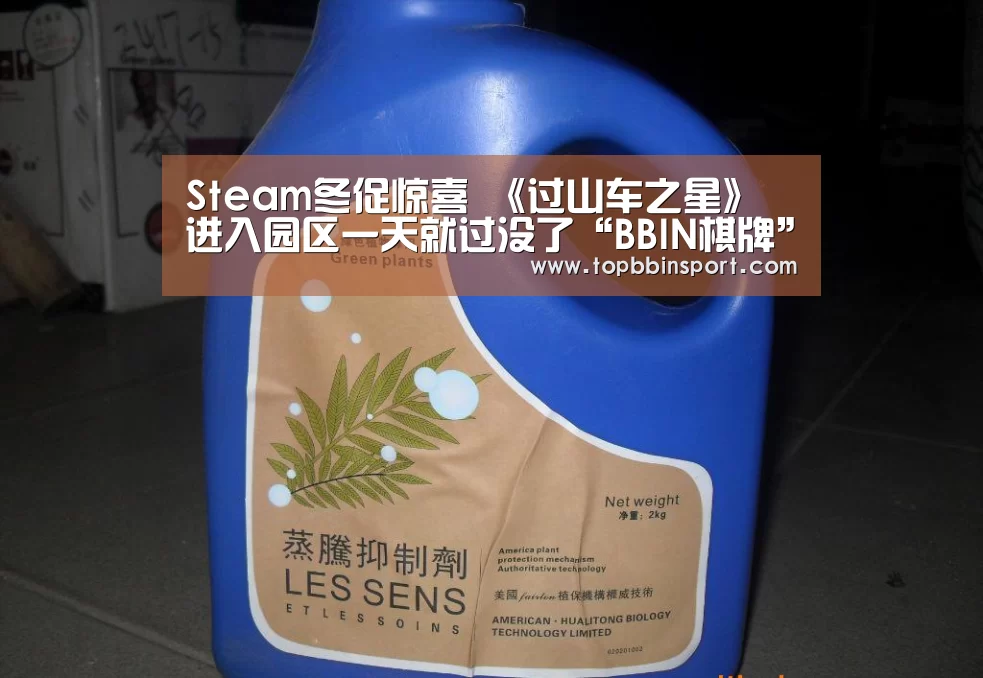 Steam冬促惊喜 《过山车之星》进入园区一天就过没了“BBIN棋牌”(图2) BBIN直播