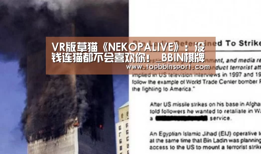 VR版草猫《NEKOPALIVE》:没钱连猫都不会喜欢你!_BBIN棋牌(图1) BBIN下载