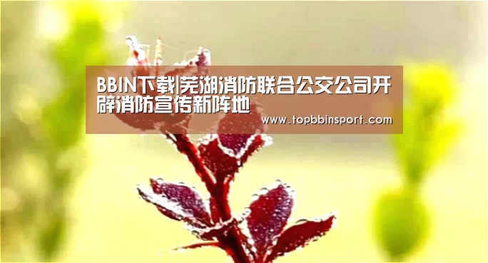 BBIN下载|芜湖消防联合公交公司开辟消防宣传新阵地(图1) BBIN棋牌