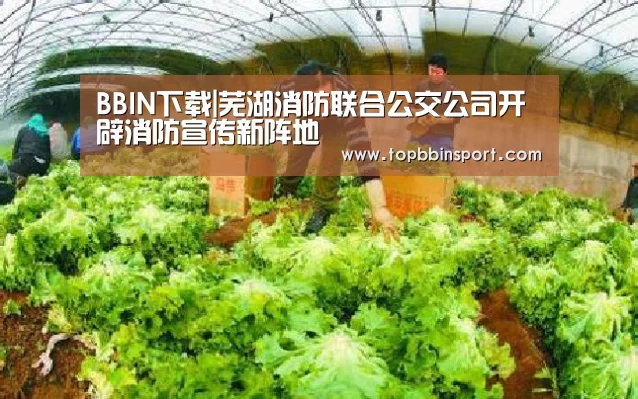 BBIN下载|芜湖消防联合公交公司开辟消防宣传新阵地(图4) BBIN下载