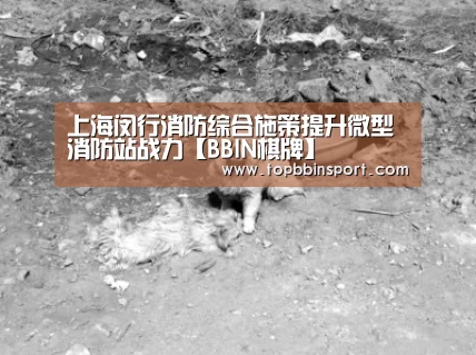 上海闵行消防综合施策提升微型消防站战力【BBIN棋牌】(图1) BBIN棋牌