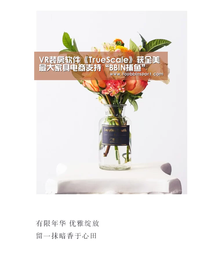 VR装房软件《TrueScale》获全美最大家具电商支持“BBIN捕鱼”(图2) BBIN下载