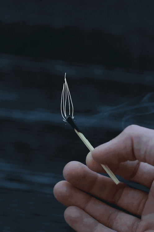 博奥教育-BBIN捕鱼(图2) BBIN棋牌